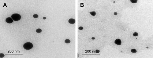 Figure 6 Transmission electron microscopy of optimized SNEDDSs.Note: (A) 1:10 Dcn:Glc SNEDDS and (B) 1:8 Dcn:TPGS SNEDDS.Abbreviations: Dcn, diacerein; Glc, gelucire 44/14; TPGS, d-α-tocopheryl polyethylene glycol 1,000 succinate; SNEDDS, self-nanoemulsifying drug-delivery system.