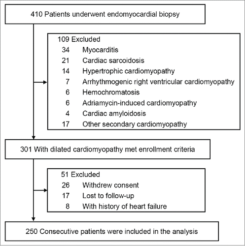 Figure 3. Derivation of the study cohort.