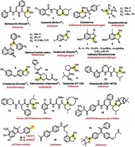 Figure 2. Some biological active organoboron derivatives in medicine.