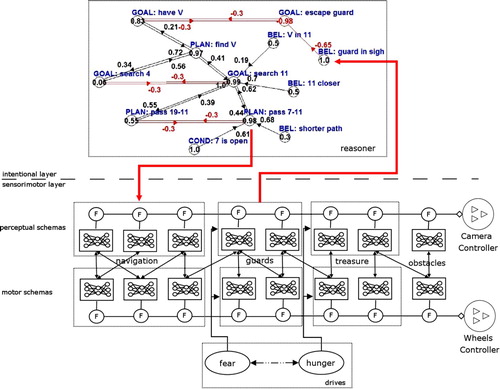 Figure 2. The sensorimotor layer (below the horizontal, dotted line), the intentional layer (above), and their interactions. For the sake of simplicity, in the intentional layer we show only the Reasoner Fuzzy Cognitive Map (FCM). In the sensorimotor layes we show four sets of schemas, the camera and wheels controllers, and the drives. The circles filled with a ‘F’ indicate that motor commands of schemas to the two actuators are gated. Edges between schemas and drives indicate Hebbian links (excitatory or inhibitory). The downward arrow that crosses the horizontal, dotted line indicates top-down control: a plan that activates schemas for reaching room 11 (the goal) by traversing rooms 7, 8, 9, and 10 (see Figure 6 for the house map). The upward arrow that crosses the horizontal, dotted line indicates that a belief (guard in sight) is grounded on the activity level of one or more schemas responsible for guards escape.