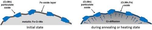 Figure 21. Schematic of ‘internal getter‘ effect in Fe–Cr–Mo prealloyed powders.