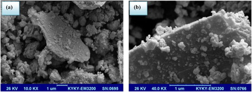 Figure 2. SEM photographs of (a) montmorillonite and (b) SnII-Mont K10.