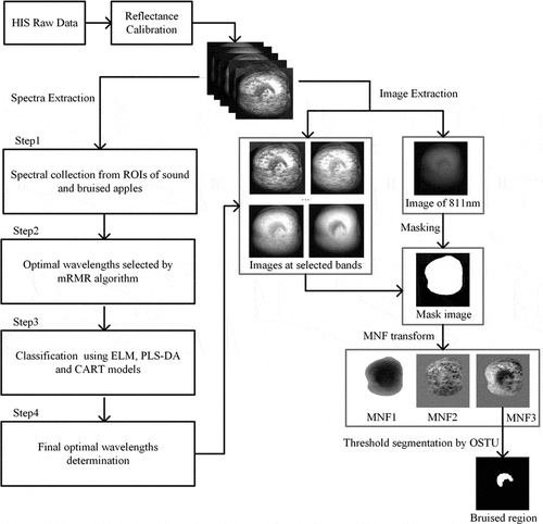 Figure 5. Flow diagram of the experimental procedure