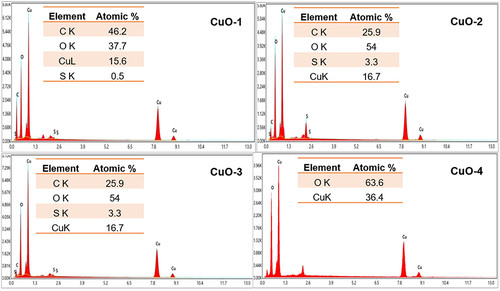 Figure 10 EDS spectra of the biosynthesized CuO NPs (CuO-1, CuO-2, and CuO-3) and chemically synthesized CuO NPs (CuO-4).