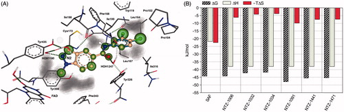 Figure 2. (A) SeeSAR visualisation of the binding of NTZ-1006 (blue) and NTZ-1091 (off-white) overlaid onto the crystal structure of the hMAO-B-safinamide complex (PDB: 2V5Z). HYDE visual affinity assessment: green = favourable, red = unfavourable and non-coloured = not relevant for affinity. (B) Bar diagrams representing a semi-quantitative decomposition of enthalpic (ΔH: sum of interactions) and entropic part (−TΔS: sum of desolvation terms) for all heavy atoms of the Gibbs free energy (ΔG, kJ/mol) of tested compounds in comparison to the reference MAO-B inhibitor safinamide (SAF).