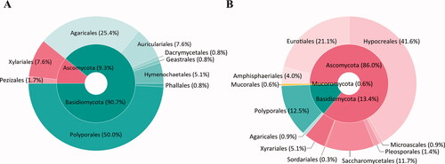 Figure 2. Composition of fruiting bodies (A) and fungal strains (B) from Chuuk and Kosrae, the Federated States of Micronesia.