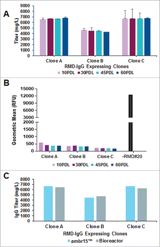 Figure 4. Phenotypic stability studies for RMD-IgG Clones in GS-IRES-RMD format. A. Consistent IgG production profile of RMD-IgG Clones A, B and C at 10, 30, 45 and 60 PDLs performed in milliliter scale in ambr15™ bioreactors in duplicate. B. Evaluation of LCA binding, a metric of afucosylation, to cell surface of IgG expressing clones co-expressing RMD at 10, 30, 45 and 60 PDL. C. Consistency in IgG expression in RMD-IgG Clones A, B and C at 45 PDL in milliliter scale in ambr15™ bioreactors and platform bench-scale 3L bioreactors.
