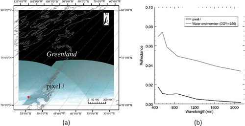 Figure 6. (a) The false colour of Moderate Resolution Imaging Spectrometer (MODIS) image with h = 16, v = 01 and DOY = 30 (2014). (b) the spectral signature of pixel i in (a), and the reference is the spectrum of water endmember extracted from the MODIS image with the same h and v when DOY = 226.