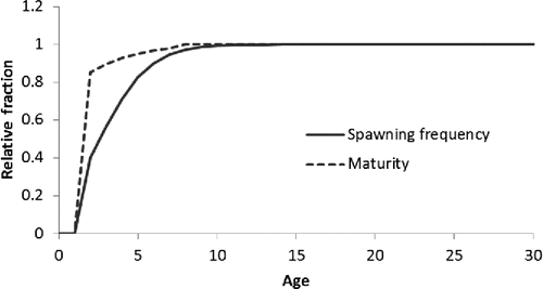 FIGURE 6. Comparison of maturity of Red Snapper and relative spawning frequency at age (years). Female maturity was based upon the presense of vitellogenic or maturing oocytes during the peak reproductive months of June, July, and August. The label on the vertical axis, relative fraction, refers to the value for maturity at age or spawning frequency at age divided by their respective maximum values (to put the two measures on the same scale).