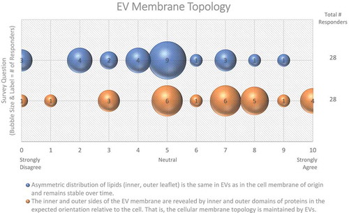 Figure 3. EV membrane topology. Two questions regarding EV membrane topology were administered in the post-workshop survey. For each question, participants’ answers are depicted horizontally on a Likert-scale from 0 to 10, with bubble size reflecting of the number of responders at each point on the scale. Responders are uncertain as to whether the lipid distribution of EV membranes is the same as the original cell membrane.