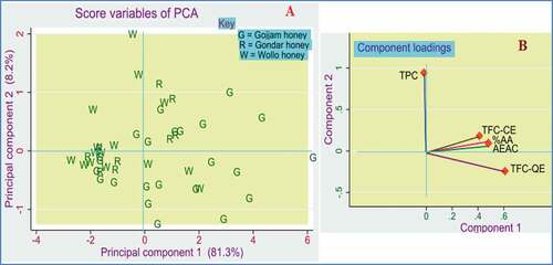 Figure 7. Principal component analysis model constructed from the phenolic and antioxidant variables for the 47-honey sample. A. score plot B. loading plot.