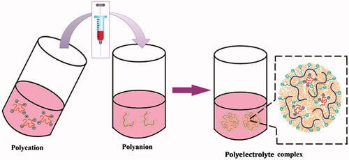 Figure 4. Preparation methodology and structural model of PECs based on the arrangement of polymer chains involved in PEC formation, suggesting core-shell topography of the fabricated PECs (modified after Lu et al. 2012).