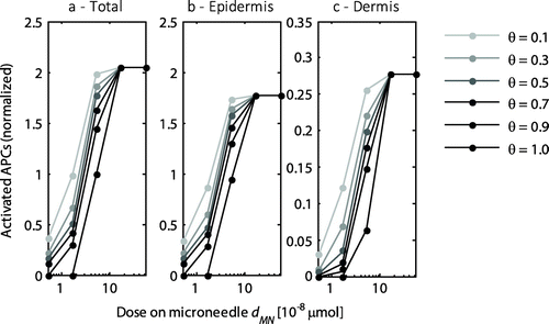 Figure 7. The normalized number of activated APCs as a function of the delivered dose by a single microneedle for the entire skin (a), the epidermis (b), and the dermis (c). All values were normalized to the total number of antigen presenting cells activated with the default dose (dMN = 5.2 × 10−8 μmol) at a saturation threshold of 1. Each line represents a different saturation threshold, θ. Note the logarithmic scale on the x-axis and the different scale on the y-axis for the dermis.