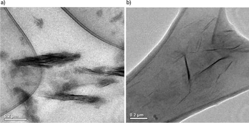 Figure 6. Transmission electron microscopy (TEM) photographs of a IIR and b MA-g-IIR filled with 1.12 v/v% of cloisite 10A