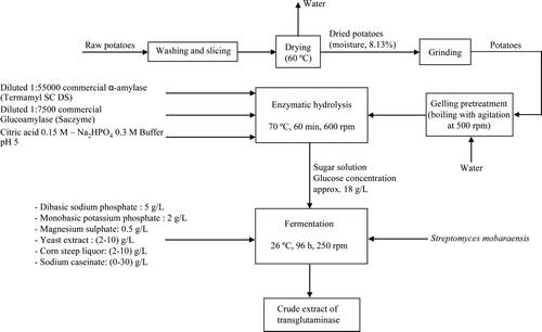 Figure 1. Overall process proposed for the production of transglutaminase using enzymatic hydrolysis of potato. Figura 1. Proceso global propuesto para la producción de transglutaminasa usando hidrolizados enzimáticos de patata.