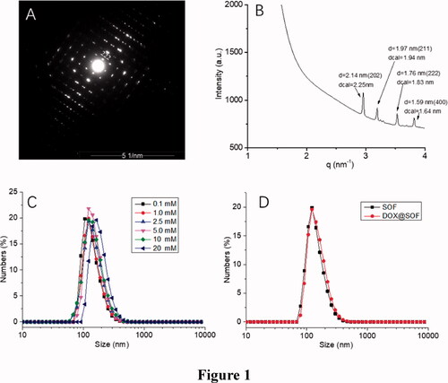 Figure 1. The structural characterization of SOF and DOX release performance of DOX@SOF. (A) SAED image of SOF; (B) small-angle X-ray scattering spectra of SOF structure in solution phase; the hydrodynamic diameter (DH) of (C) different concentrations of SOF and (D) SOF and DOX@SOF (0.2 mM) determined by DLS.