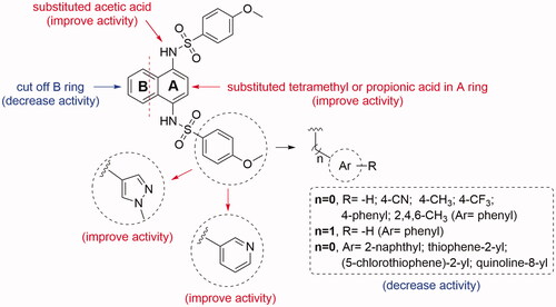 Figure 5. Preliminary structure-activity relationships of non-naphthalene scaffold-based derivatives.