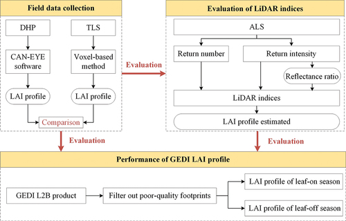 Figure 1. The framework for retrieval and validation of the LAI profiles derived from DHP, TLS, ALS, and GEDI.