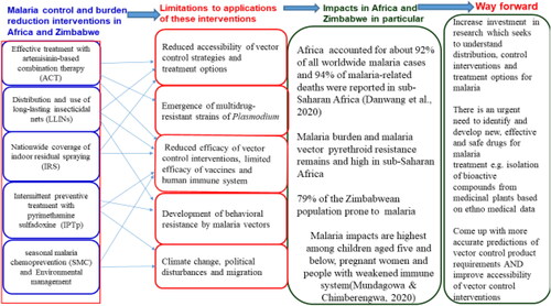 Figure 1. A synopsis of malaria control, treatment interventions, impacts, and mitigation in African countries including Zimbabwe.