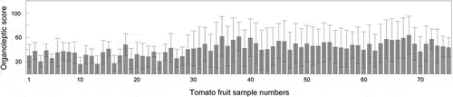 Figure 3. Organoleptic scores of umami taste intensities of tomato fruit samples. The error bars indicate standard deviations