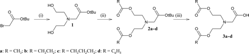 Scheme 1.  Syntheses of bis-N,N-(2-acyloxyethyl)glycine trifluoroacetate (3a–d). (i) diethanolamine, CH2Cl2; (ii) RCOOH, DMAP, DCC and (iii) TFA.