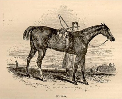 Figure 2 The acclaimed racehorse Eclipse, whose great Grandsire was Bleeding (Bartlett’s) Childers (1764–1789).
