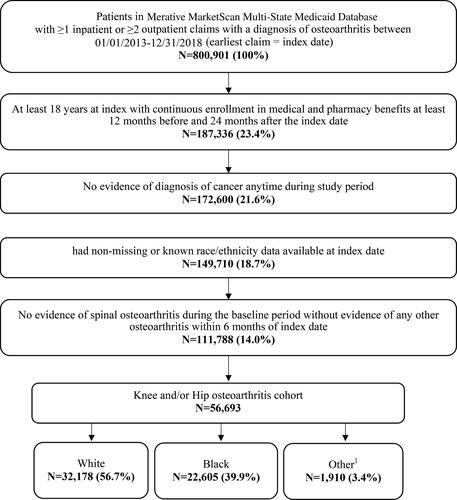 Figure 1. Patient selection.1Other includes American Indian/Alaska native, Hispanic, Asian, Native Hawaiian/Other Pacific Islander, two or more races, any other races.