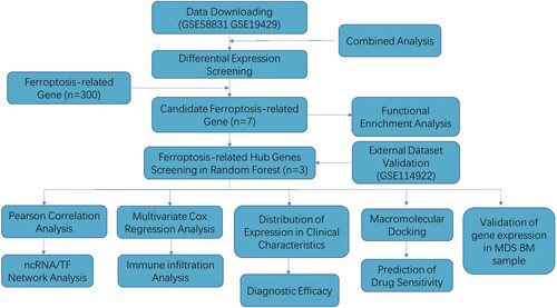 Figure 1. Flow chart of the data collection and analysis.