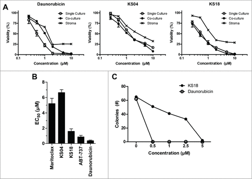Figure 4. KS04 and KS18 are less toxic to healthy bone marrow cells compared to daunorubicin. (A) U937-luc cells alone or co-cultured with HS-5 stromal cells, or HS-5 stroma cells alone, were treated with the indicated concentrations of daunorubicin (left), KS04 (middle), and KS18 (right) over 48 hours. Viability of single culture cells and the viability of U937-luc cells in the co-culture were determined. Error bars = SD of 3 replicates. (B) Primary mouse bone marrow was treated with maritoclax, KS04, KS18, ABT-737, and daunorubicin over 24 hours to measure viability (errors = SEM of 5 independent experiments). (C) Primary mouse bone marrow seeded to methylcellulose medium supplemented with growth factors were treated with the indicated concentrations of KS18 and daunorubicin for 7 days, and the number of haematopoietic cell colonies were counted.