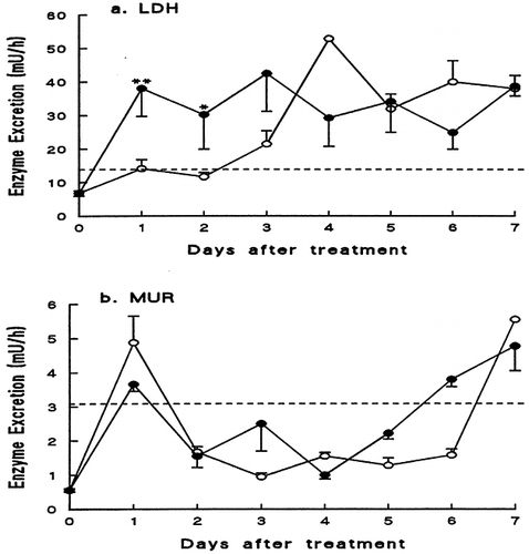 Figure 3. Changes in a) LDH and b) MUR during administration of Gentamicin (50 mg/kg/day) to vehicle and CyA (30 mg/kg/day) treated rats. Results are mean ± SEM for groups of 6 rats. The upper limit of normal are given as (- - - - - -). Open symbols denote Gentamicin + vehicle and the close symbols represent Gentamicin + CyA administered concomitantly. All values were compared to vehicle treatment by student's t-test for unpaired samples, *P < 0.05, **P < 0.01.