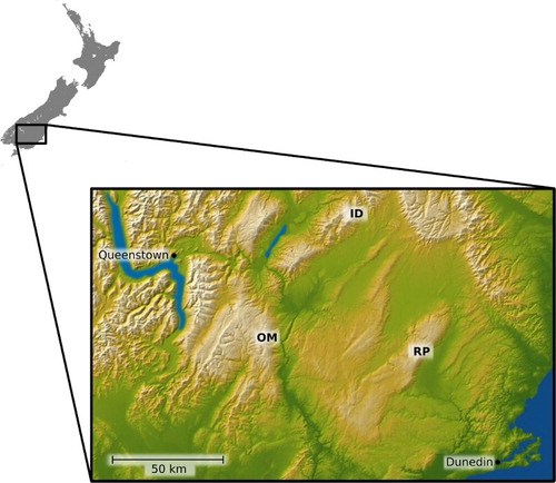 Figure 1. Collection sites in Otago, South Island, New Zealand. ID, Ida Range; OM, Old Man Range; RP, Rock and Pillar Range.