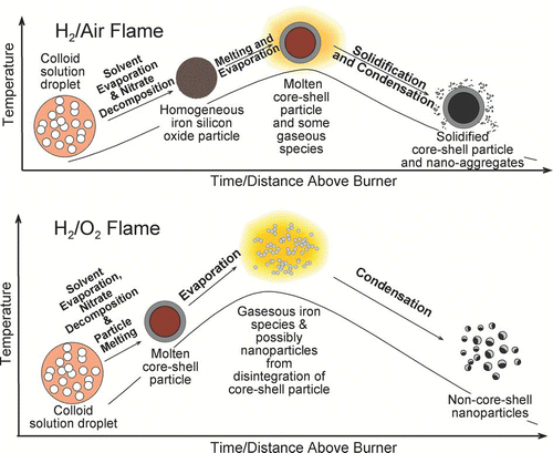 FIG. 8 Schematic illustrations of the different temperature history in a H2/air flame and in a H2/O2 flame. (Figure provided in color online.)