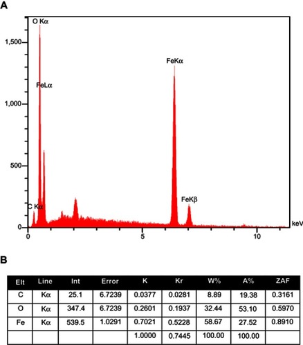 Figure 2 (A) Energy-dispersive X-ray spectra for quercetin-loaded MNPs; (B) Elemental analysis of synthesized nanoparticles. Abbreviation: MNPs, magnetic nanoparticles.
