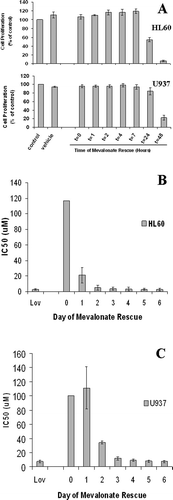 Figure 4. Number of days of statin exposure required for maximal statin-induced cytotoxicity. After various durations of lovastatin exposure, mevalonate was added to the cells to rescue them from the cytotoxic effects of statins in order to determine the minimum duration of statin exposure needed to induce a cytotoxic effect. (A) Duration of lovastatin exposure required at high concentrations (50 µM). HL60 and U937 cells were cultured with 50 M lovastatin for 0, 1, 2, 4, 7, 24 or 48 h prior to the addition of 200 µM Mevalonate. The culture was then incubated for 4 additional days and then assayed using the MTS-based proliferation assay (N ≥ 3 for each cell line). (B and C): IC50 determinations by day of rescue. Mevalonate was added on the indicated day of lovastatin treatment. IC50 values were determined on day 6 (N = 3 for each cell line). (B) HL60 Cells. (C) U937 Cells.