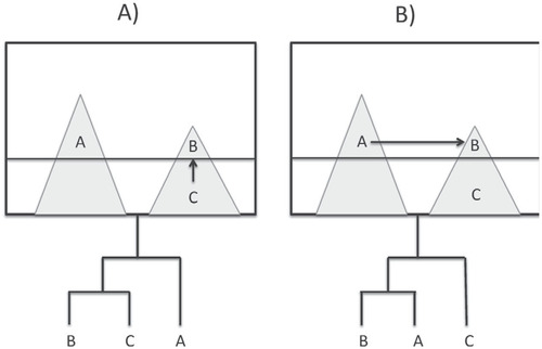 FIGURE 6. (a) Expected phylogenetic relationship for an adaptive radiation origin of a summit speciation event. (b) Expected phylogenetic relationship for a geographic speciation (vicariant) origin of a summit speciation event.