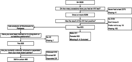 Figure 1. Procedure for identifying HIV-positive participants and those with partners for the sub-analysis of disclosure to partners, including exclusion criteria, round 6, 2012–2013.