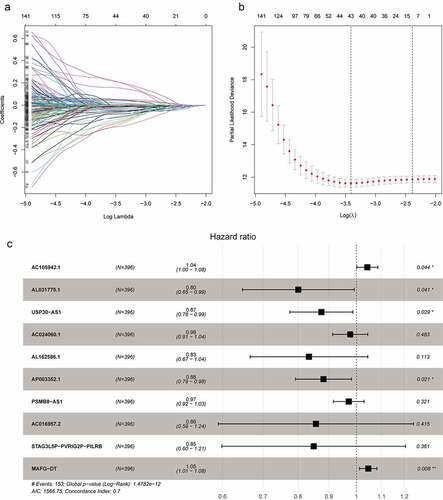 Figure 1. The selection of hypoxia-related lncRNA utilizing Lasso regression analysis. (a, b) The prognosis-related hypoxia lncRNAs screened by univariate Cox regression were incorporated into Lasso regression analysis. Penalty parameter (λ) for the model was determined by 10-fold cross-validation following the criteria that error is within 1 standard error of the minimum. (c) Ten prognosis-related hypoxia genes were incorporated into multivariate regression model and used to generate hypoxia-associated risk scores