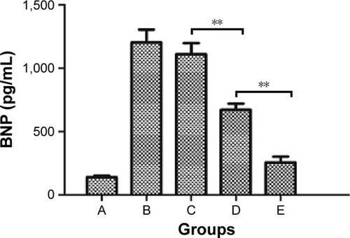 Figure 6 Plasma concentration of BNP by ELISA.