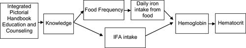 Figure 1 Pathways to influence integrated pictorial handbook education and counseling on anemia status in pregnant women.