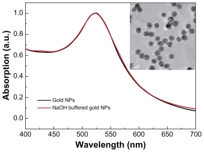 Figure 1 Size and morphology of gold nanoparticles. The ultraviolet spectra of gold nanoparticles and transmission electron microscopic analysis (figure inset).Note: Gold nanoparticles were synthesized following the procedure described by Turkevich et al.Citation30
