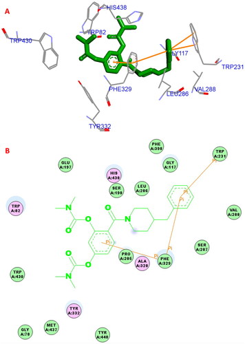 Figure 3. (A) 5a (green stick) interacted with the binding residues of huBuChE (PDB code: 4tpk). (B) 2D interaction of 5a (green stick) with huBuChE.