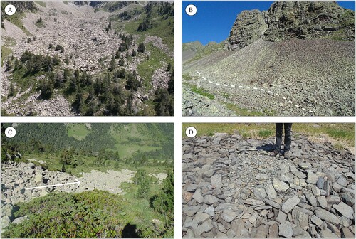 Figure 4. Examples of the different periglacial landforms identified in the area: (A) relict rock glacier distributed across the glacial cirque floor of Locampo, Ruda Valley; (B) active talus slope with protalus lobes at the Nère Valley; (C) relict block stream at 2200 m in the Ruda Valley; (D) inactive sorted cirques at 2480 m in the Mauberme cirque, Unhòla Valley.