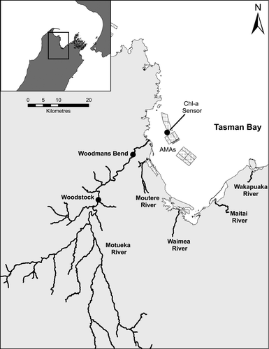 Figure 1  Study area showing the Motueka catchment, freshwater data collection points (Woodstock and Woodmans Bend) and Tasman Bay aquaculture management areas (AMAs).