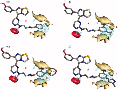 Figure 7. Flap® 3 D-QSAR model generated for the RAF1 compounds; (A) alignment of the most potent compound 1zb, (B) alignment of compound 1ze, (C) alignment of compound 1zg, (D) alignment of compound 1zf. The GRID molecular interaction fields are shown as; cyan (Shape), yellow (hydrophobic) and red (HBA).