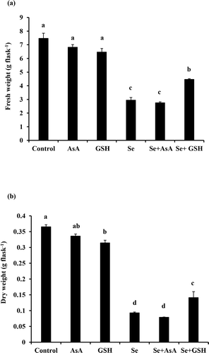 Figure 6. Effects of ascorbic acid (AsA) and glutathione (GSH) on 4-day-old BY-2 cell growth under selenate stress. (a) Shows the cell growth on the basis of fresh weight and (b) shows the cell growth on the basis dry weight in response to 20 mM AsA, 0.5 mM GSH in presence or absence of selenate stress. Averages of cell growth from three independent experiments (n = 3) are shown. Error bar represents SE. Bars with the same letters are not significantly different at P < 0.05.
