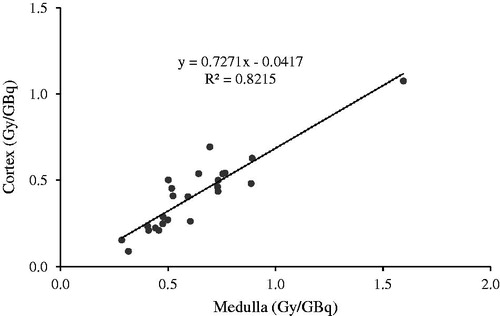 Figure 4. Calculated medulla and cortex doses for the small volume method based on the two time points calculation method and Equation 1.