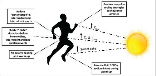 Figure 7. Altering a warm-up to accommodate for hot ambient conditions. Some applied protocol recommendations for altering the RAMP protocol; the use of post warm-up passive heating/cooling strategies and altering nutritional intake to reduce the impact of heat stress on subsequent performance. CHO = carbohydrate.