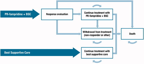 Figure 1. Model structure.Abbreviation. BSC, best supportive care; PR, prolonged-release.