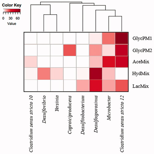 Figure 5. Heat map showing genera abundance in microcosms and cluster analysis dendrogram based on Bray–Curtis similarity. Abbreviations: GlycPM1: glycerol PM1 microcosm; GlycPM2: glycerol PM2 microcosm; AceMix: acetate microcosm; HydMix: hydrogen microcosm; LacMix: lactate microcosm.