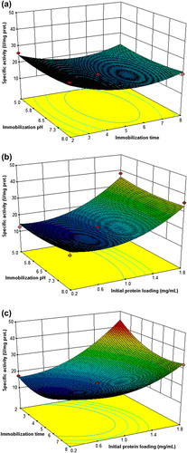 Figure 2. (a) Response surface plot of the effect of immobilization pH and immobilization time on the specific activity of immobilized cellulase preparations at the fixed initial enzyme concentration of 1 mg mL− 1. (b) Response surface plot of the effect of immobilization pH and initial protein concentration on the specific activity of the immobilized cellulase preparations at the fixed immobilization time of 5 h. (c) Response surface plot of the effect of immobilization time and initial protein concentration on the specific activity of the immobilized cellulase preparations at the fixed immobilization pH of 6.5.